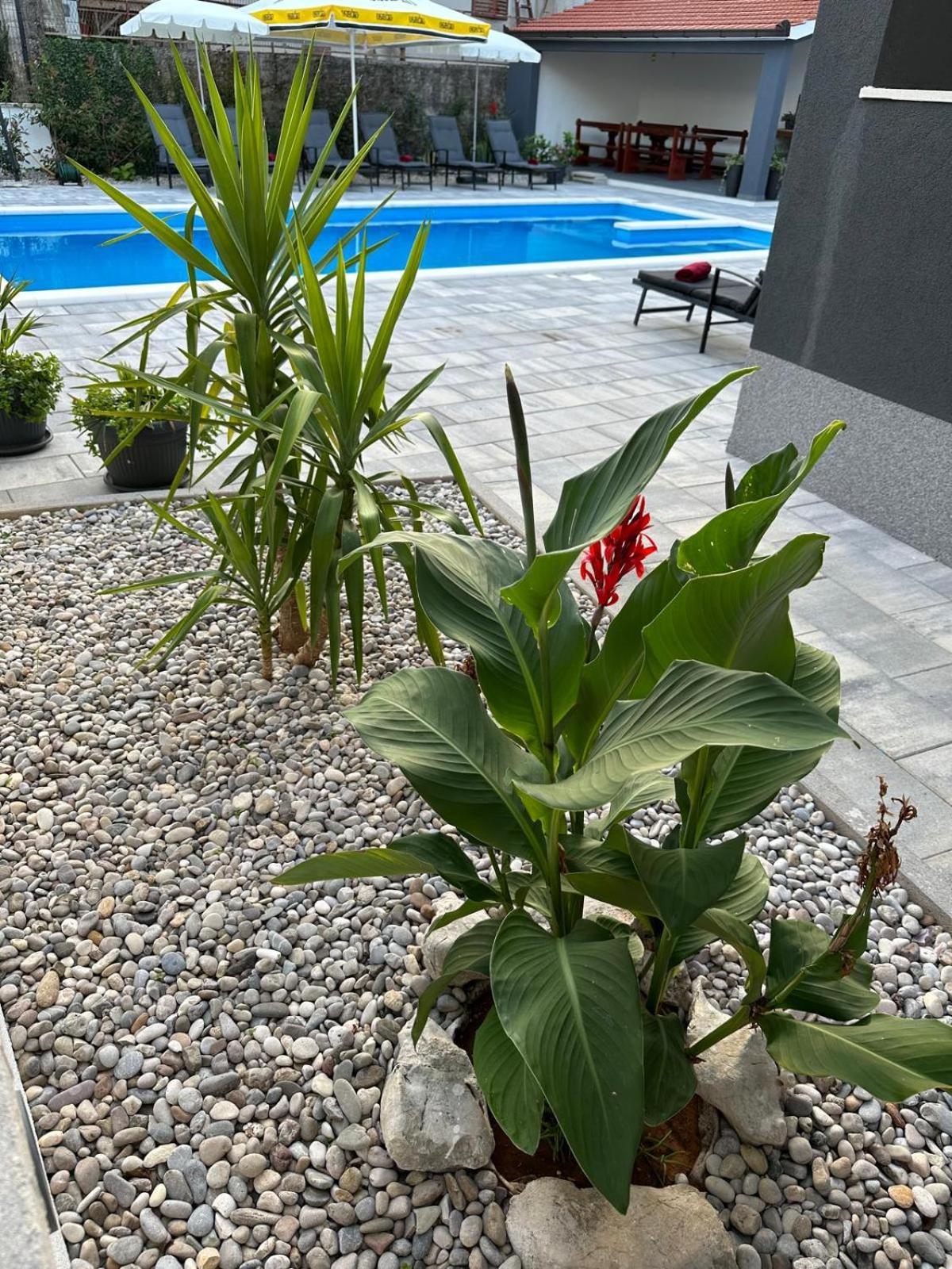Erwin With Heated Pool Apartment *