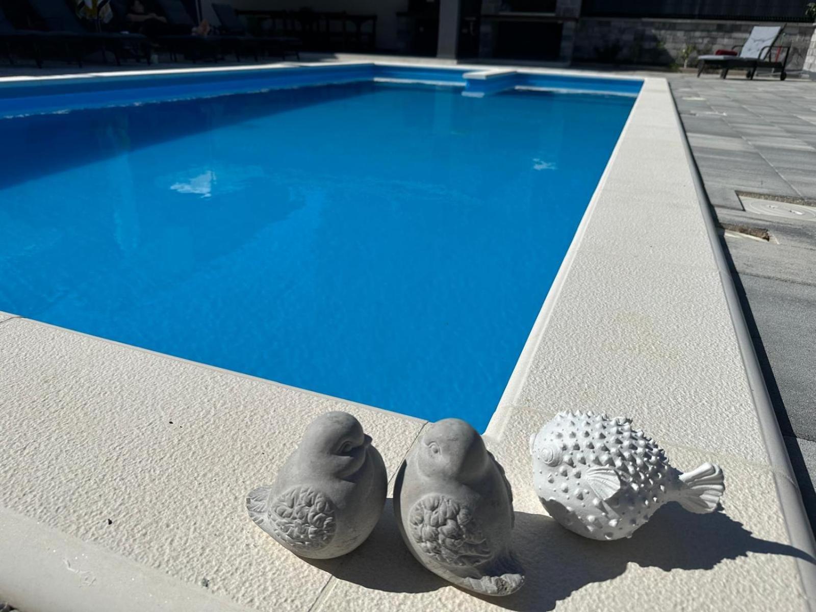 Erwin With Heated Pool Imotski